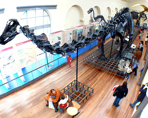 Foto del interior del Museo de Ciencias Naturales de Madrid