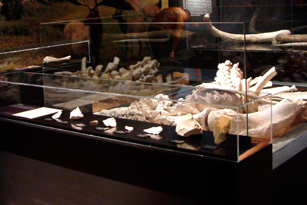 Interior del Museo Arqueológico de la Comunidad de Madrid